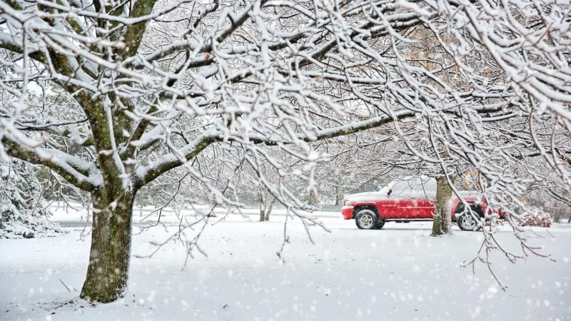 Odbiór z posesji: jak sprzedać uszkodzone auto stojące na prywatnym terenie?